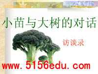 《小苗与大树的对话》ppt课件3